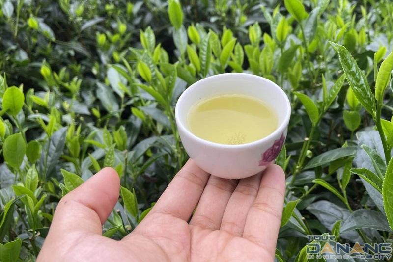 Chè Thái Nguyên – Đặc sản nổi tiếng của tỉnh Thái Nguyên