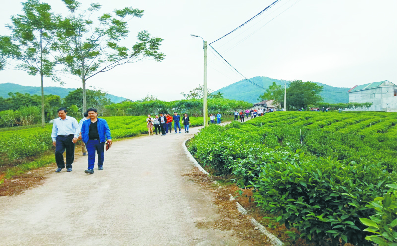 Không gian văn hóa trà Tân Cương 1